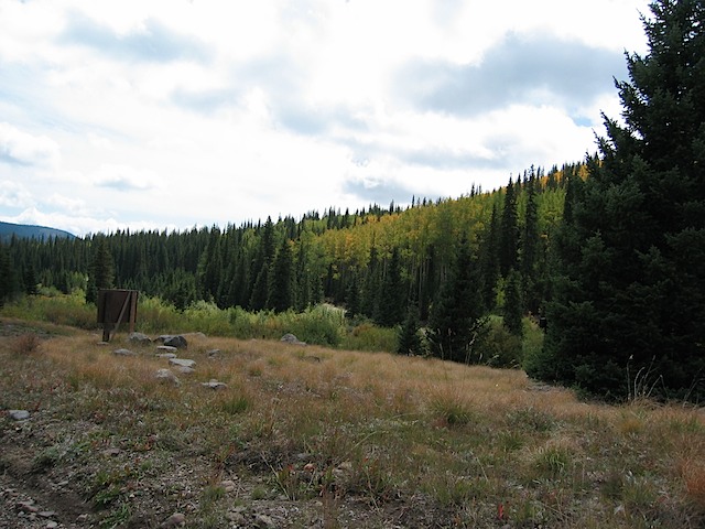 aspens Changing